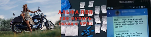 кокс Арсеньев