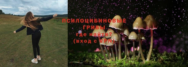 кокс Арсеньев