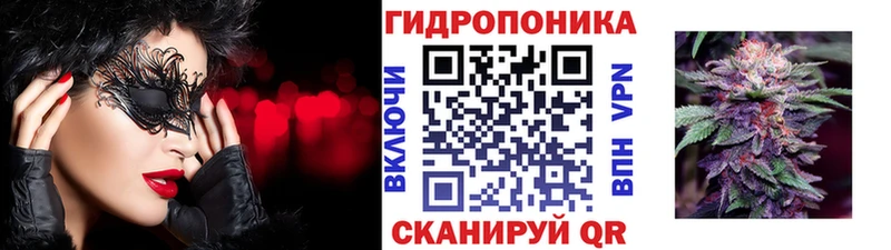 Марихуана марихуана  Сортавала 